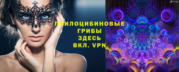 PSILOCYBIN Алексин